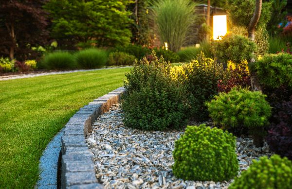 Cost of Bush Relocation in Las Cruces