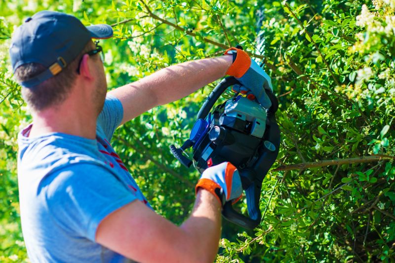 Shrub Pruning detail