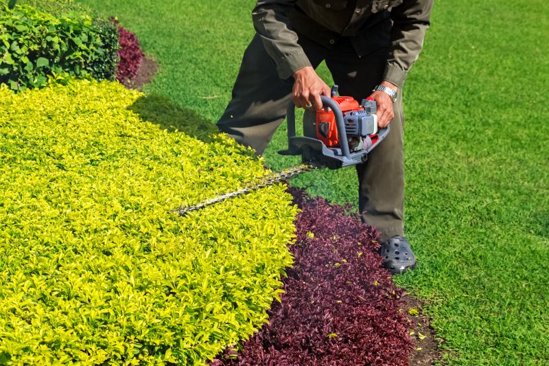 Trimmed Shrubs with Clean Lines