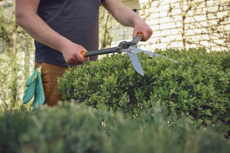 Shrub Trimming Tools