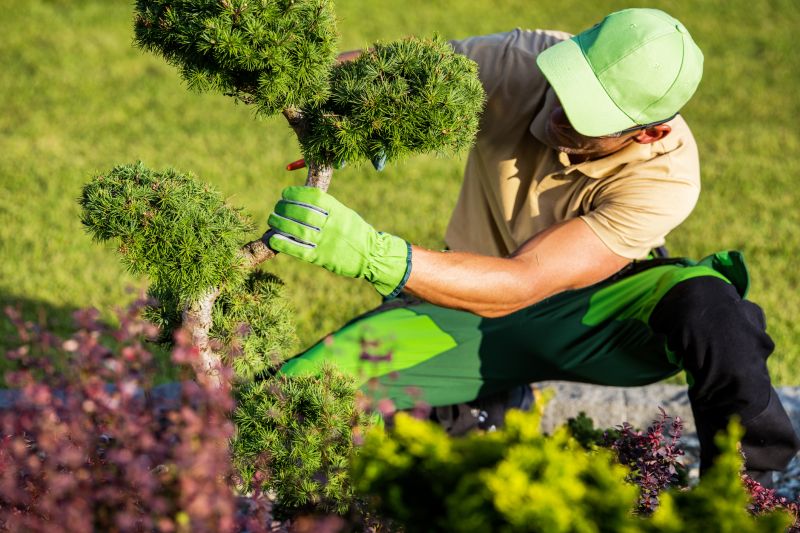 Seasonal Landscaping Preparation