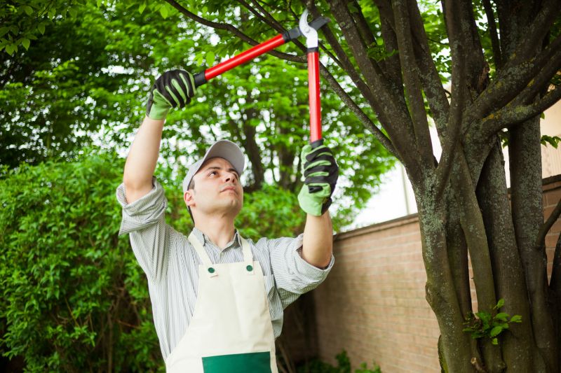Expert Trimming at Work
